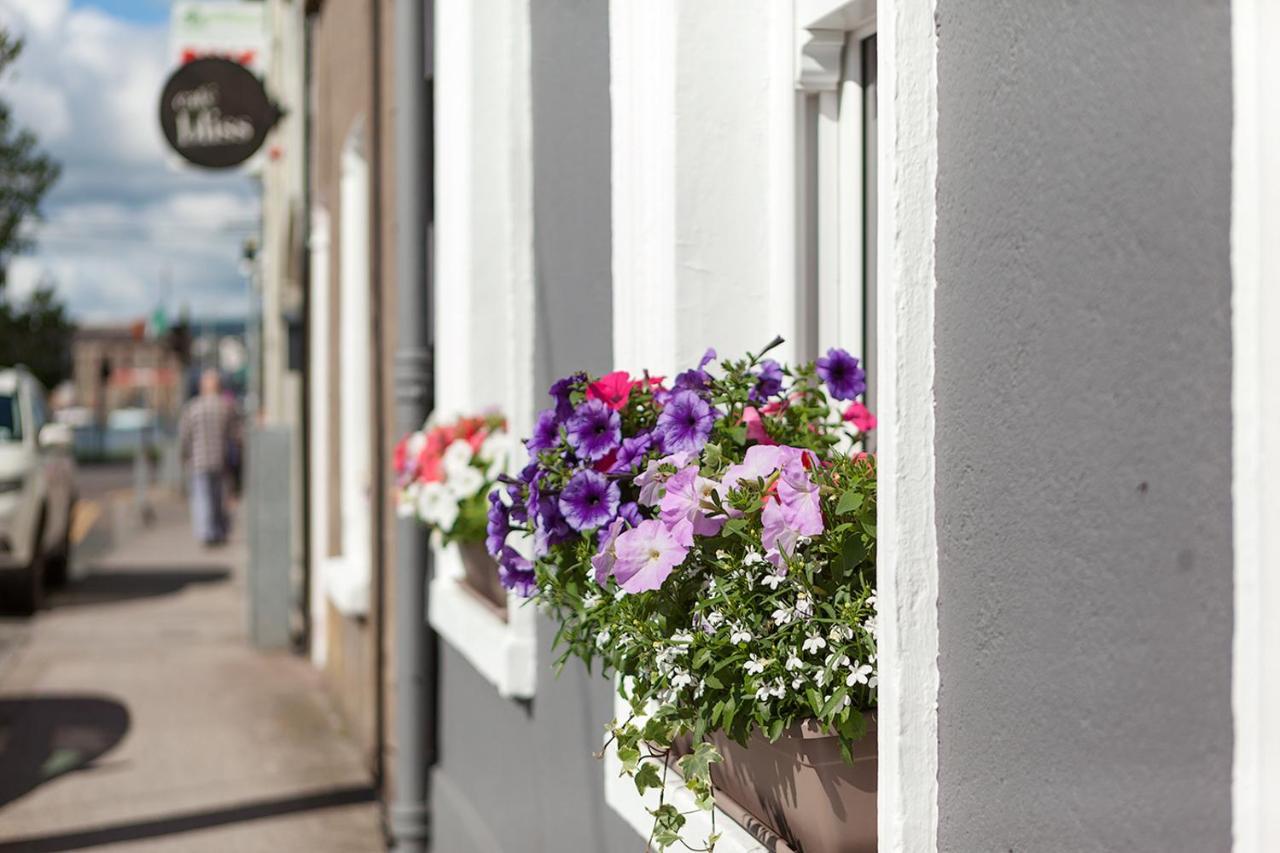 Macs Townhouse Dungarvan Dungarvan  Exteriér fotografie